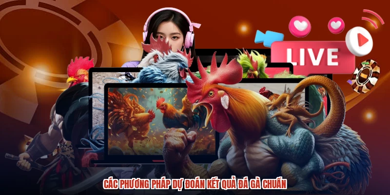 Các phương pháp dự đoán kết quả đá gà chuẩn Các phương pháp dự đoán kết quả đá gà chuẩn