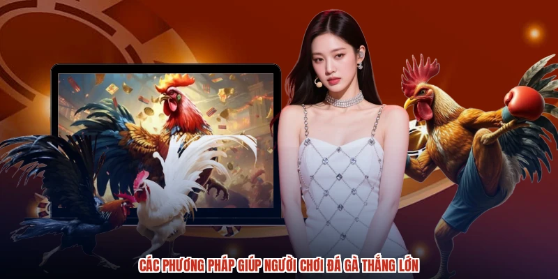 Các phương pháp giúp người chơi đá gà thắng lớn Các phương pháp giúp người chơi đá gà thắng lớn