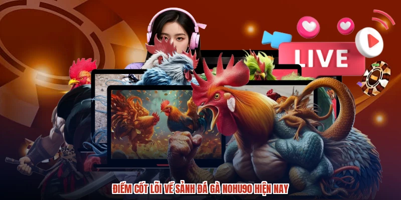 Điểm cốt lõi về sảnh đá gà NOHU90 hiện nay