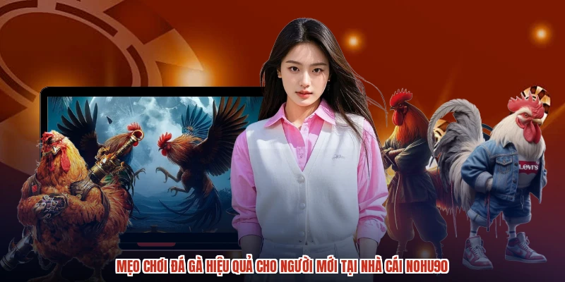 Mẹo Chơi Đá Gà Hiệu Quả Cho Người Mới Tại Nhà Cái NOHU90