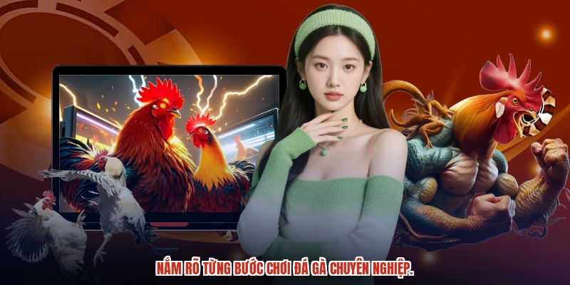 Nắm rõ từng bước chơi đá gà chuyên nghiệp. Nắm rõ từng bước chơi đá gà chuyên nghiệp.