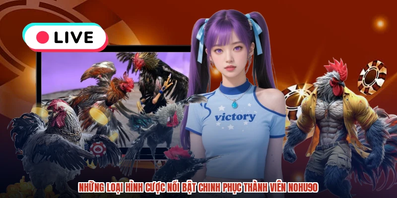 Những loại hình cược nổi bật chinh phục thành viên NOHU90