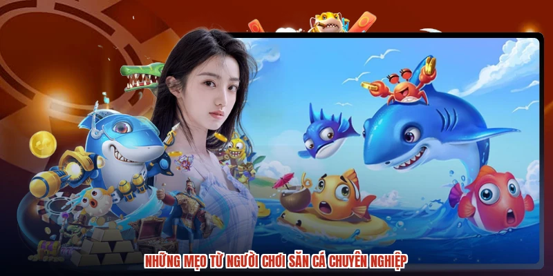Những mẹo từ người chơi săn cá chuyên nghiệp Những mẹo từ người chơi săn cá chuyên nghiệp