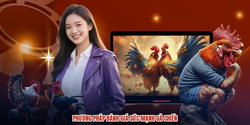 Phương pháp đánh giá sức mạnh gà chiến Phương pháp đánh giá sức mạnh gà chiến