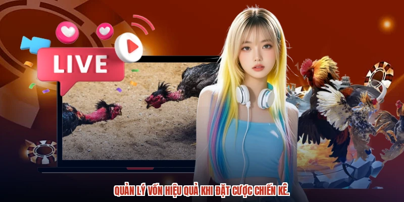 Quản lý vốn hiệu quả khi đặt cược chiến kê. Quản lý vốn hiệu quả khi đặt cược chiến kê.