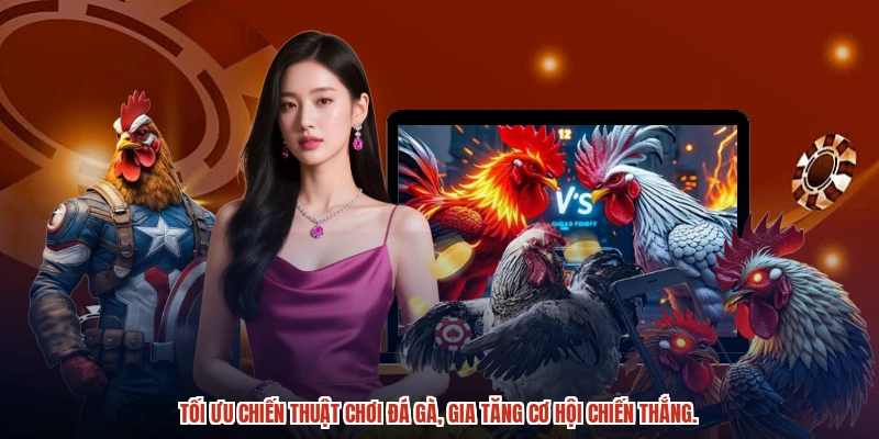 Tối ưu chiến thuật chơi đá gà, gia tăng cơ hội chiến thắng. Tối ưu chiến thuật chơi đá gà, gia tăng cơ hội chiến thắng.
