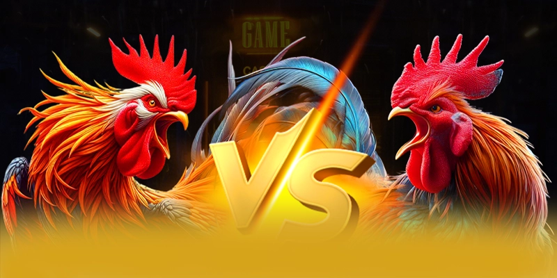 FB88 - Sảnh game có danh mục game hấp dẫn hiện nay