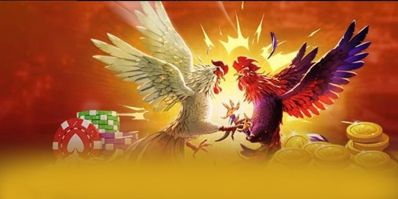 BET88 - Sân chơi quy tụ nhiều siêu phẩm hot tại Việt Nam